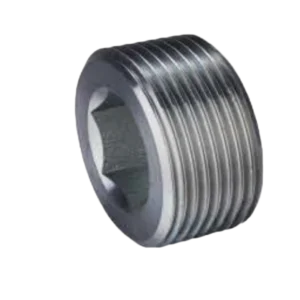 BSPT MALE HOLLOW HEX PLUG ADPTER 304/316/316L STAINLESS STEEL CARBON STEEL BRASS HYDRAULIC FITTINGS