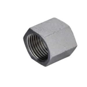 ORFS TUBE END NUT ADPTER 304/316/316L STAINLESS STEEL CARBON STEEL BRASS HYDRAULIC FITTINGS